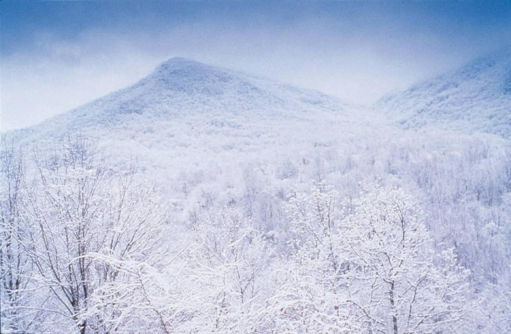 Hotel Club Wyndham Smoky Mountains Sevierville Zewnętrze zdjęcie